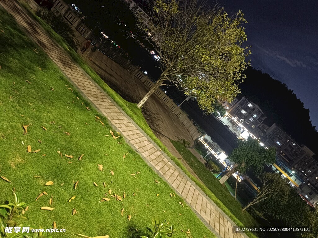 夜晚公园小径与绿植景观