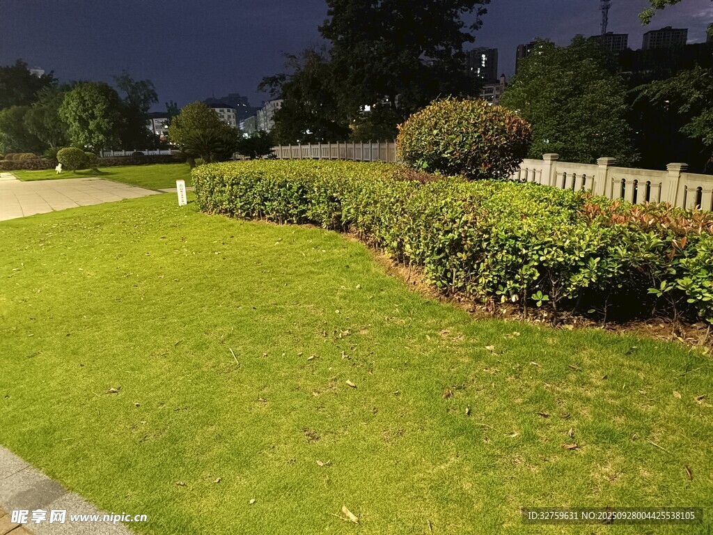 夜晚草坪与绿植景观