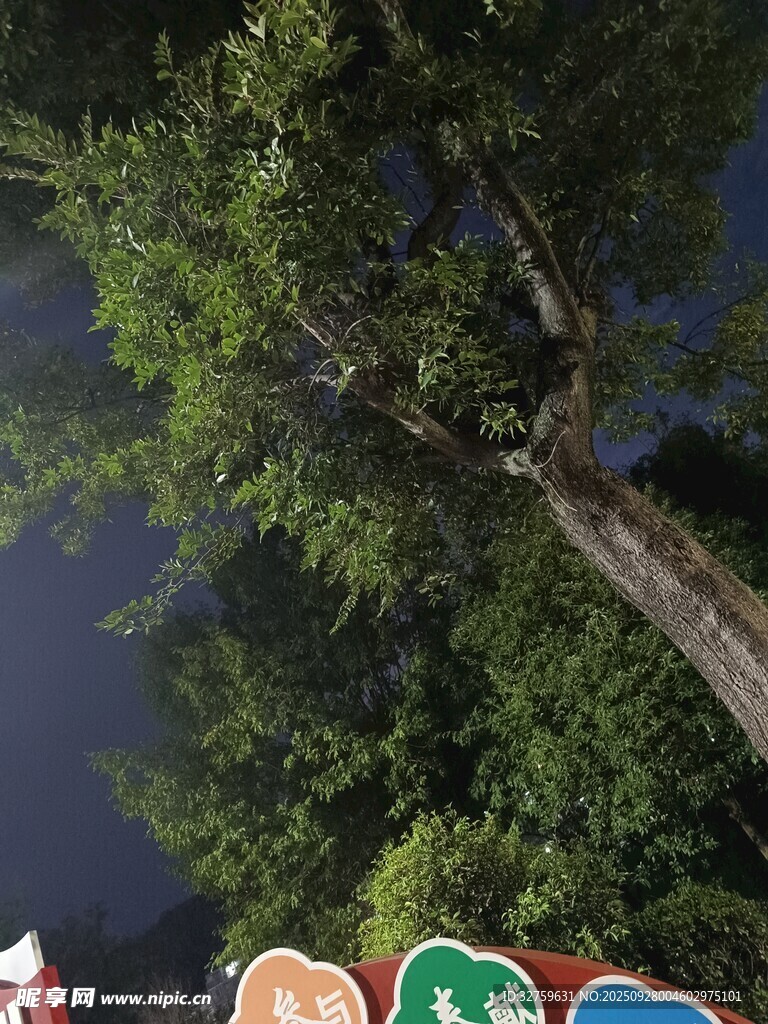 河畔多彩皮划艇与绿树