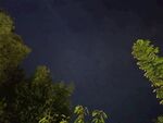 夜幕下的树木与深邃天空