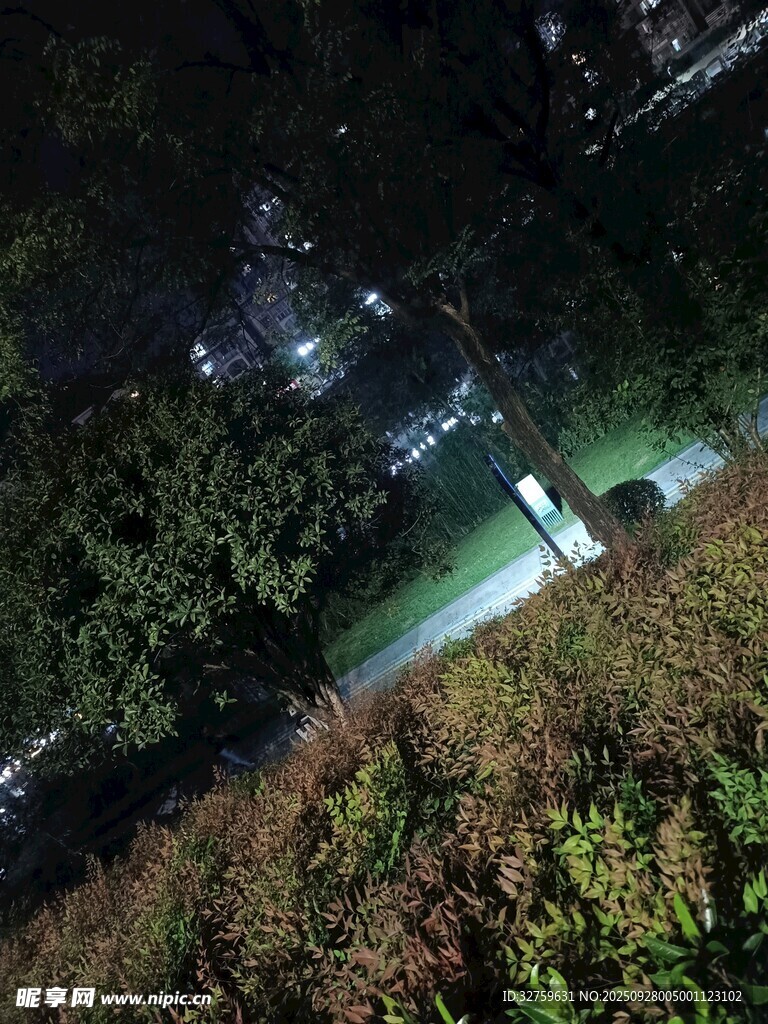 夜晚公园小径的静谧景象