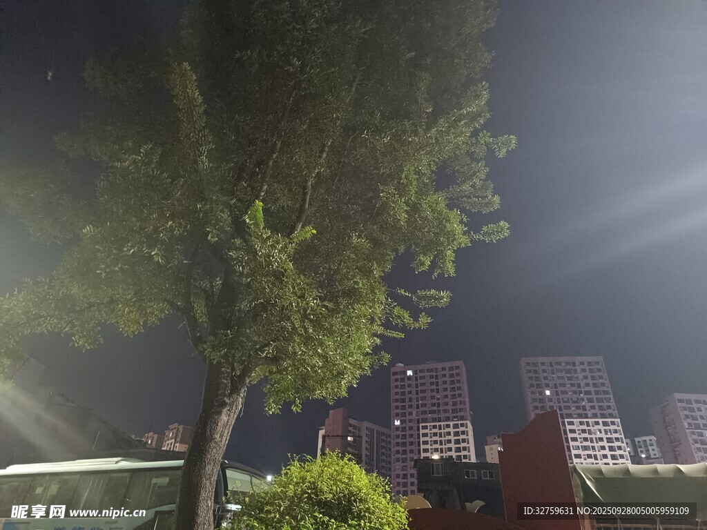 雾中城市景象