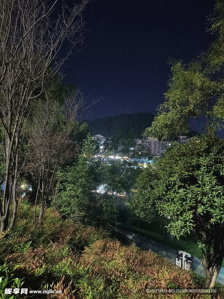 山林夜景