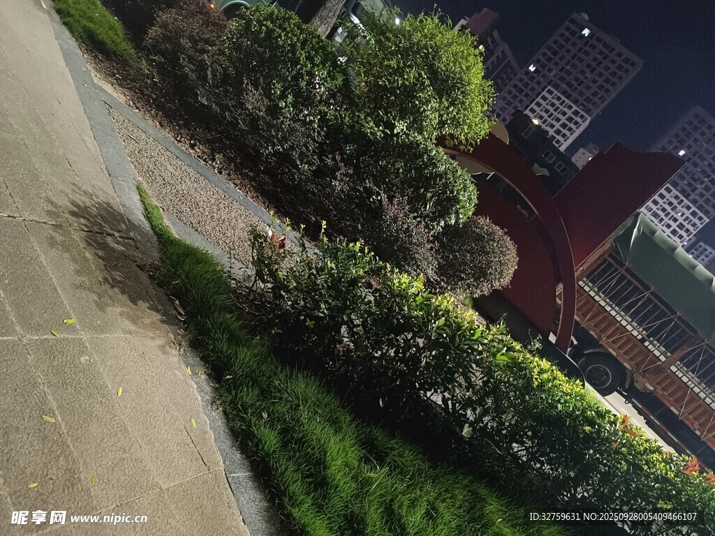 夜晚街边绿植景观