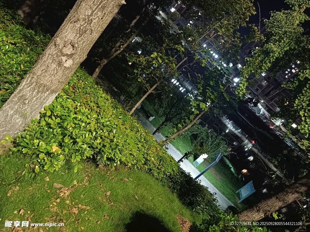 夜晚公园绿意景致