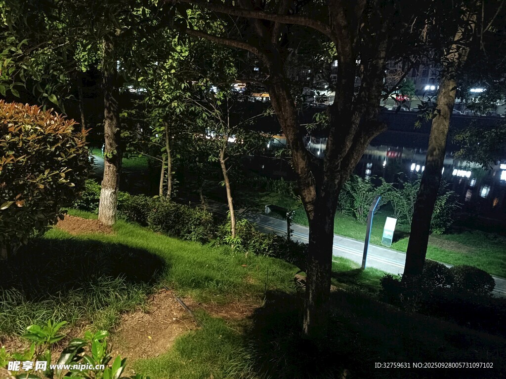 夜晚公园小径静谧景致