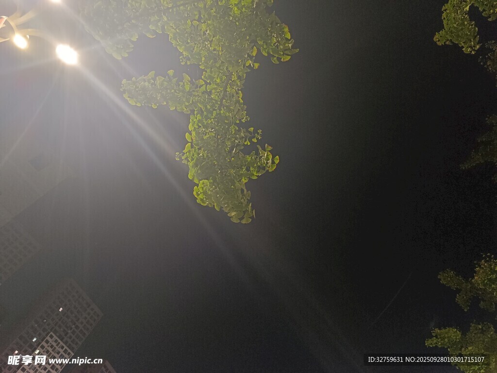 水下阳光穿透绿植景象