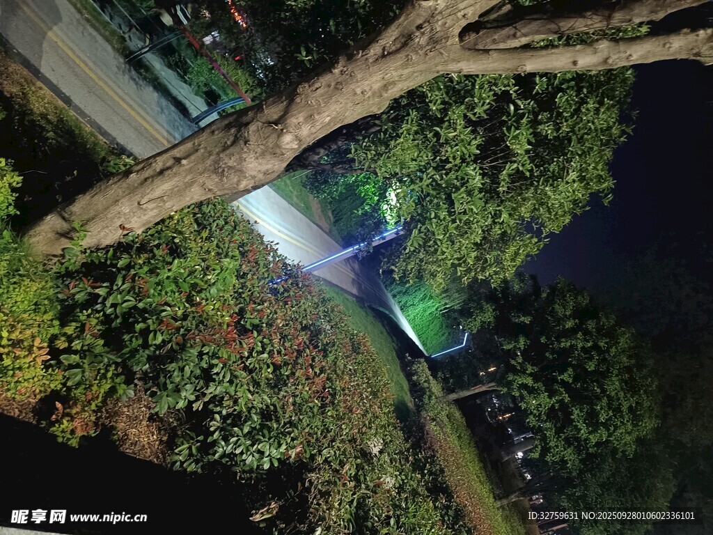 夜晚公园树梢间的灯光美景
