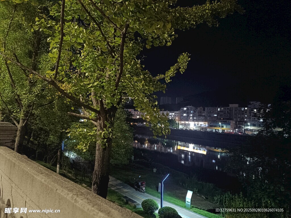 夜晚河畔绿树夜景风光