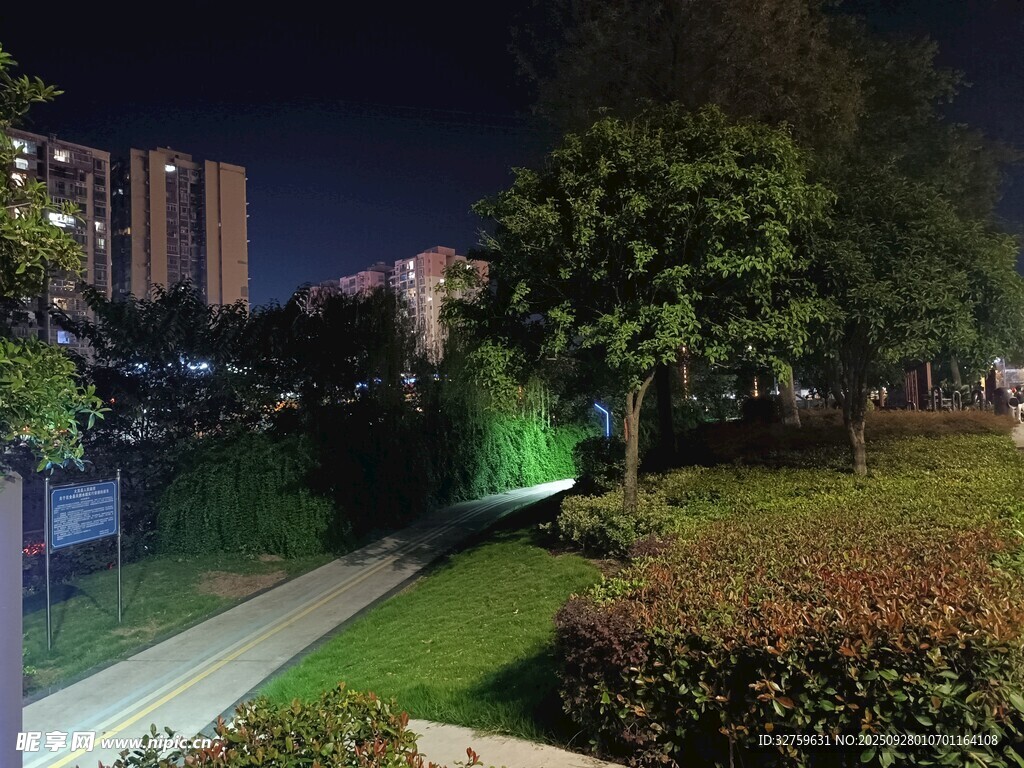 城市夜景中的绿植景观
