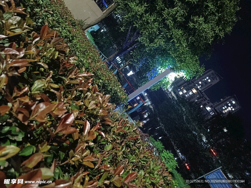 夜晚绿植旁的城市灯光景象