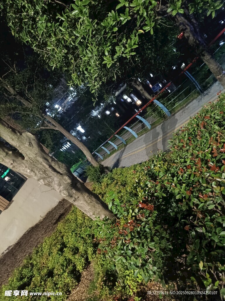 俯瞰绿树环绕的停车区域