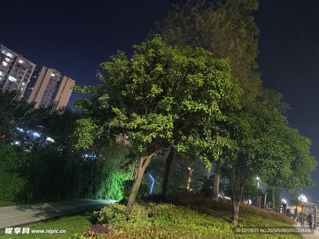 城市夜晚的静谧绿化景观