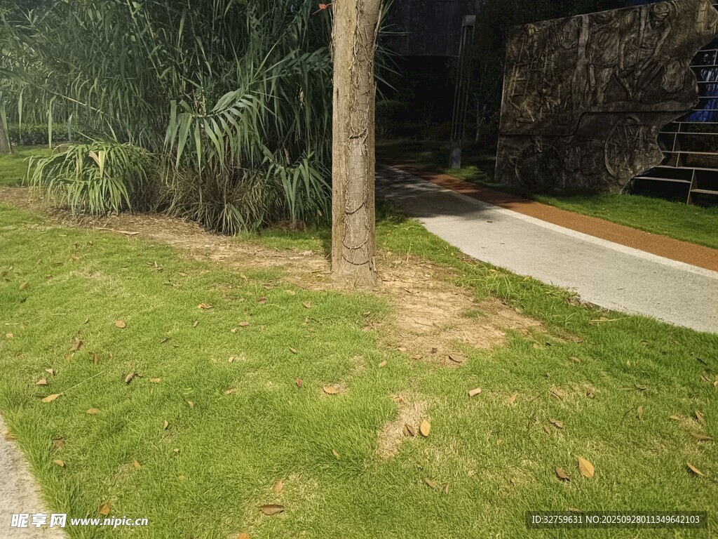 户外草地小径景观