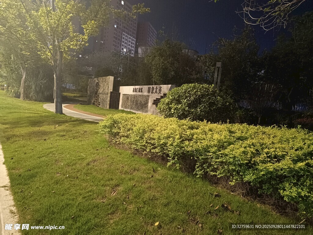 夜晚城市中的绿植景观