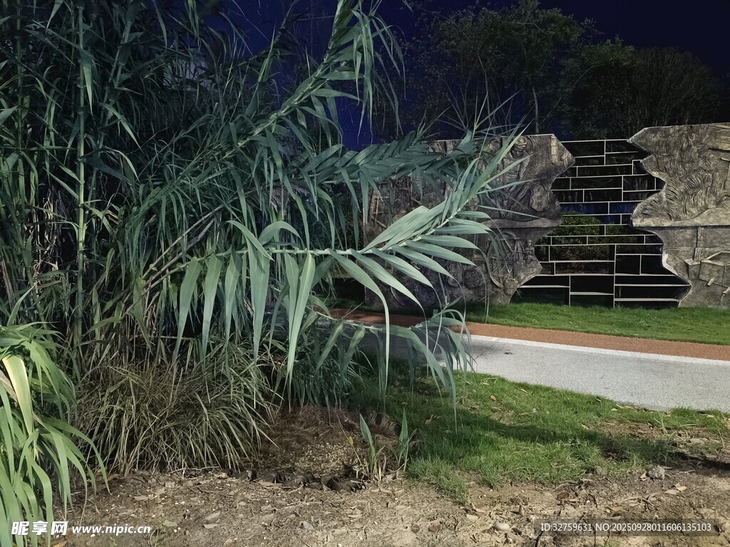 夜间绿植旁的户外场景
