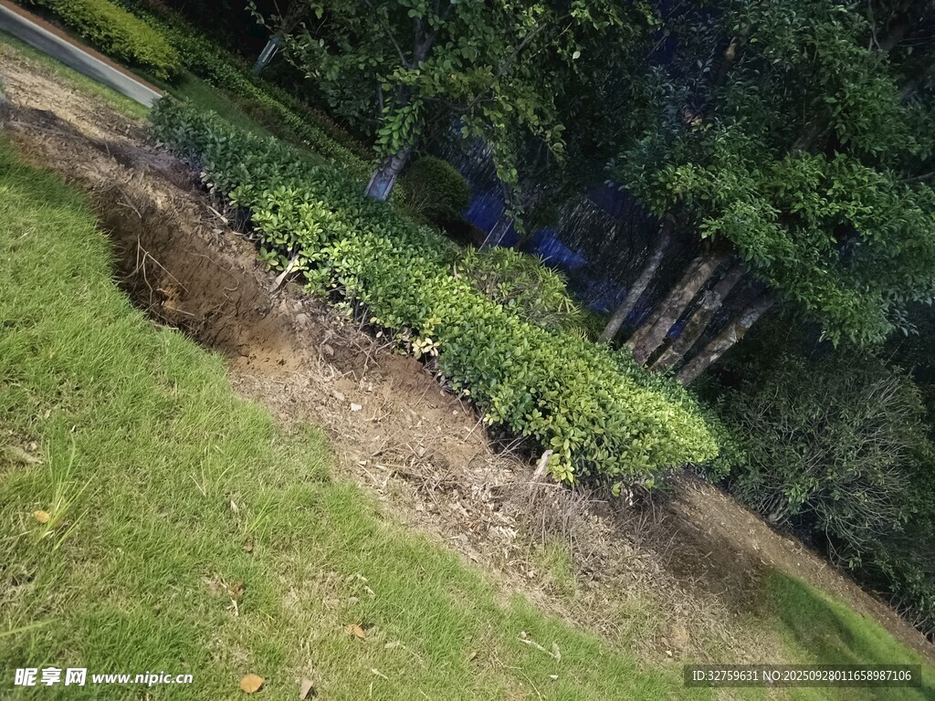 户外绿植环绕的斜坡景观