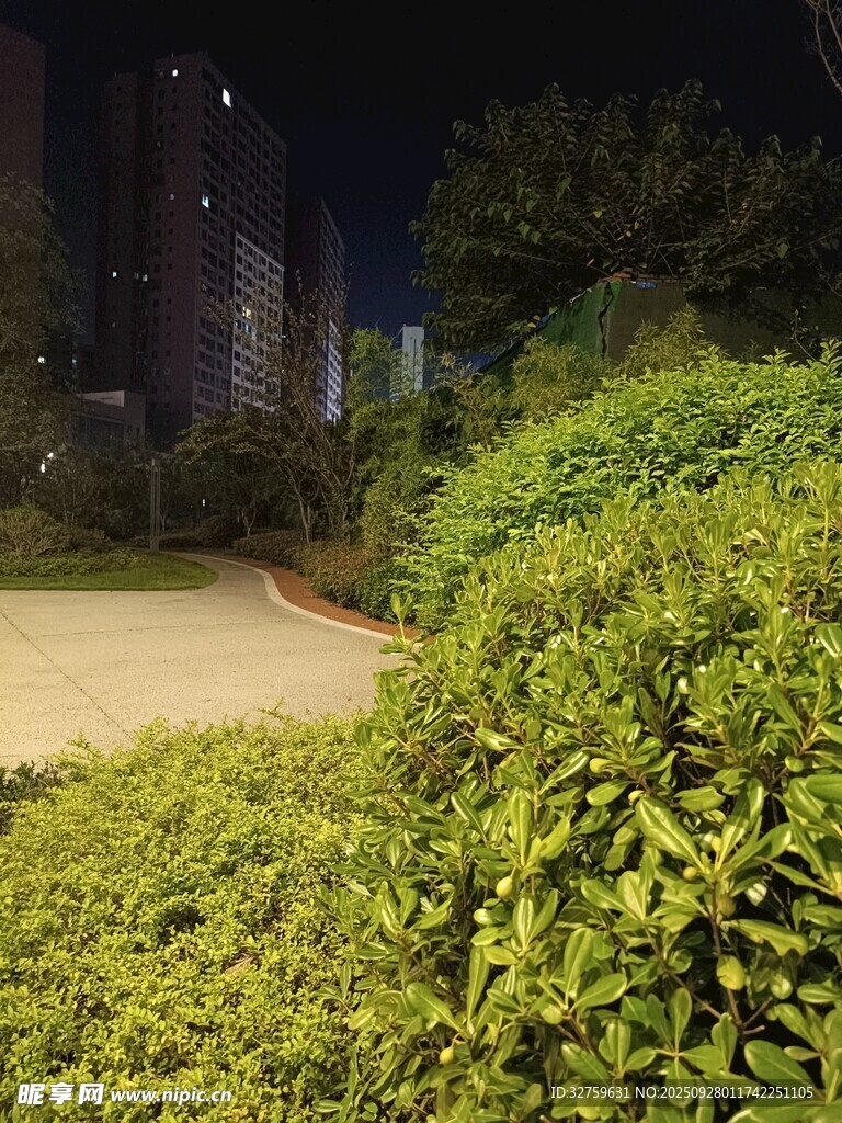 夜晚小区绿植景观