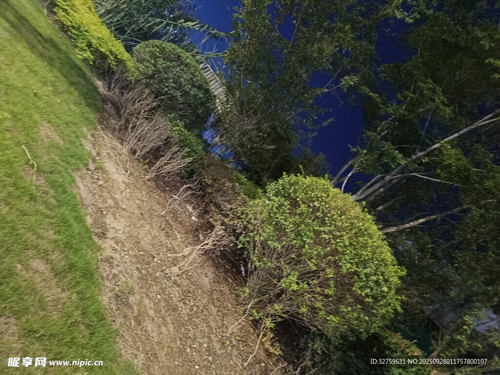 俯瞰绿意盎然的自然景致