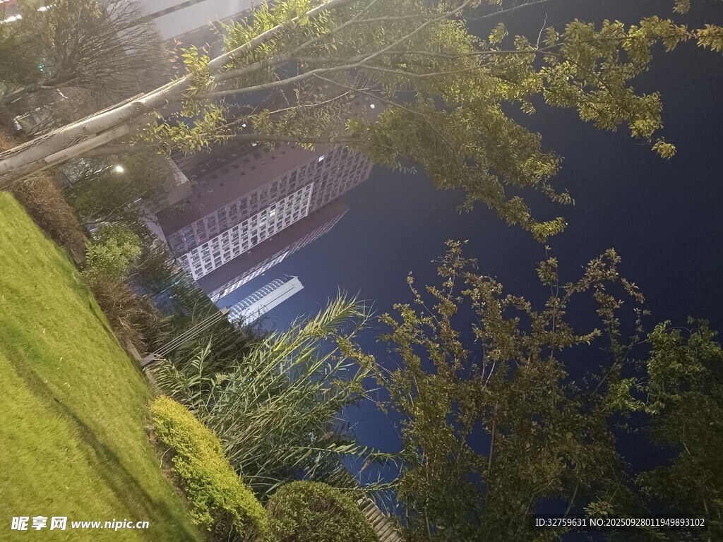 俯瞰河畔小屋与葱郁绿植
