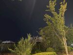 夜晚绿植景观