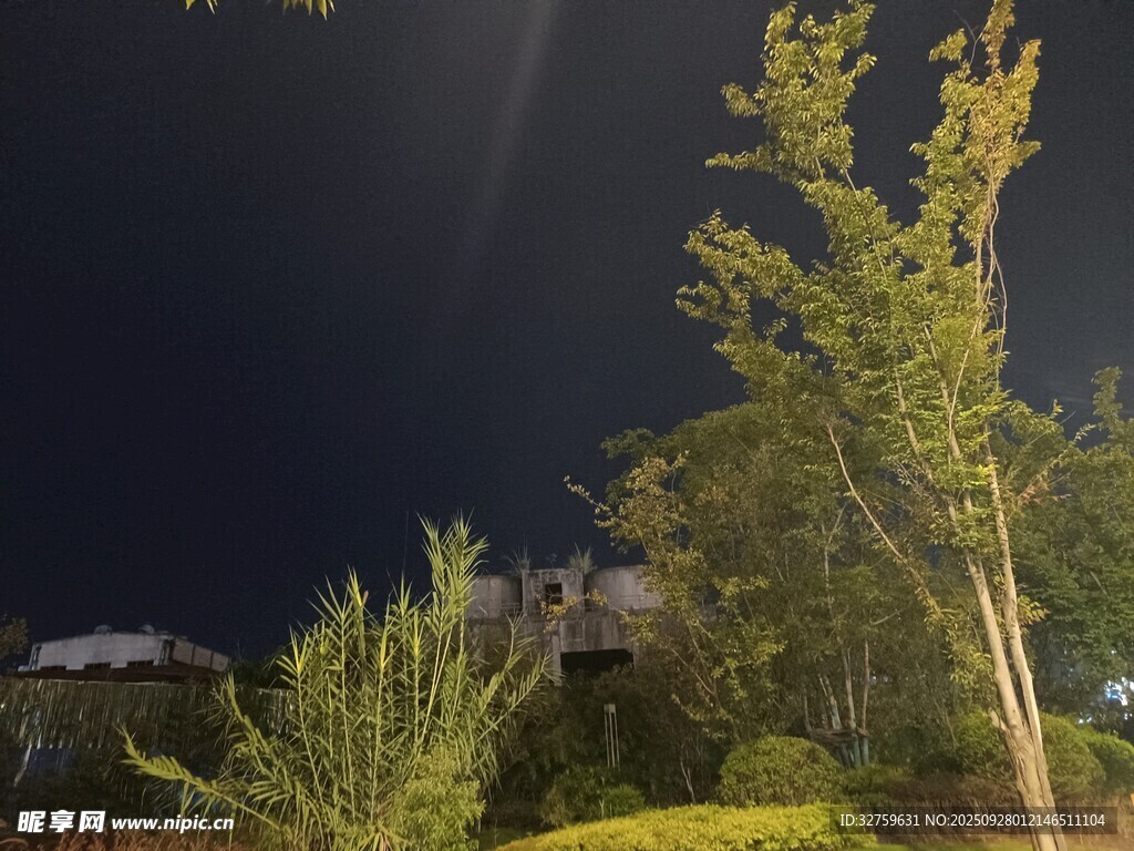 夜晚绿植景观