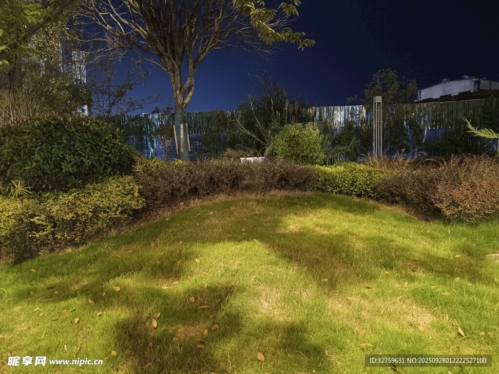 夜晚静谧的庭院草坪景观