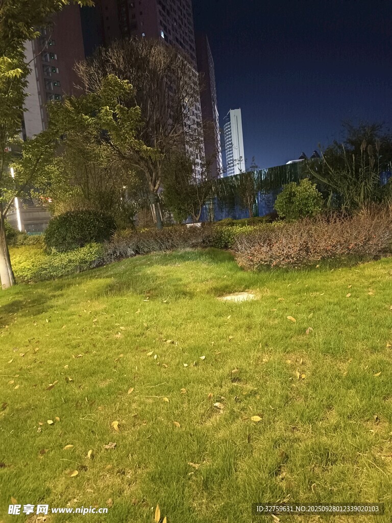 夜晚中的城市绿地景观