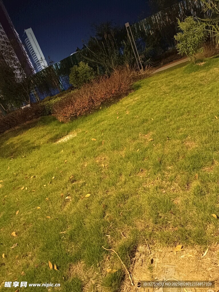 夜晚草地景观