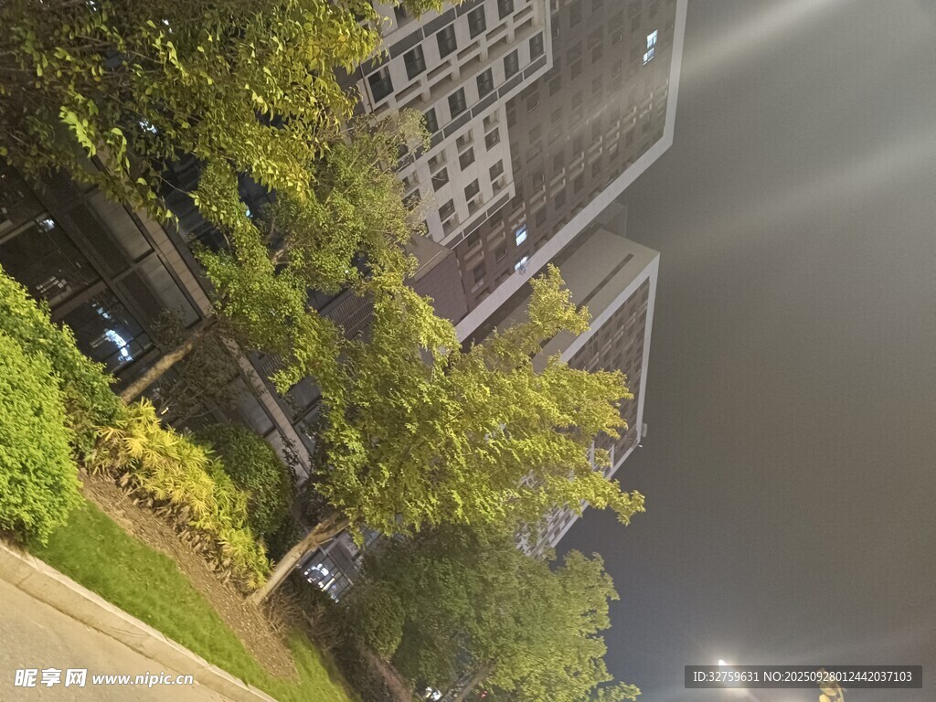 夜晚城市街道绿植景观