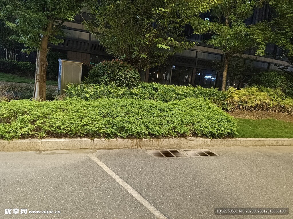 路边绿植景观