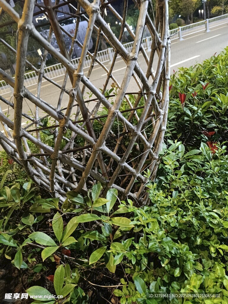 铁艺树饰与绿植景观