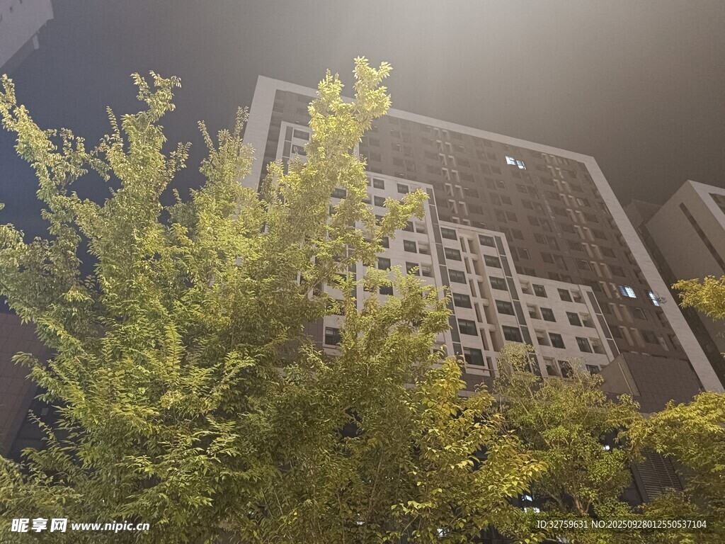 夜幕下高楼与葱郁树木