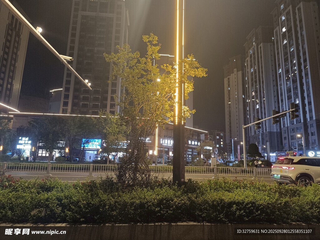 城市夜景中的绿植与高楼