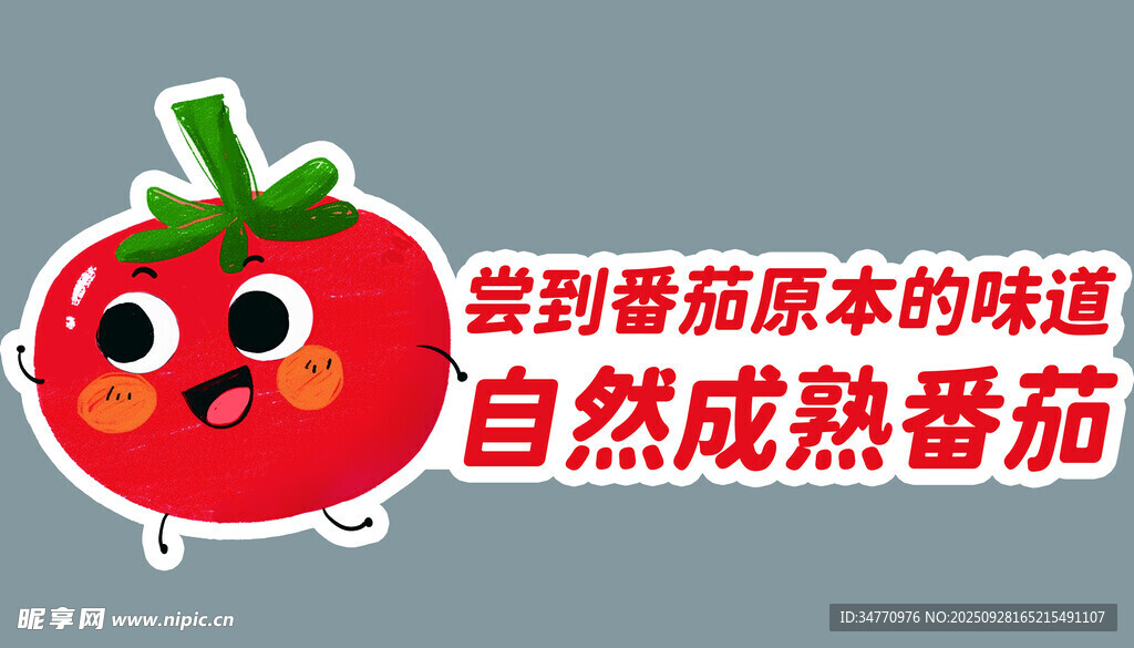 自然熟番茄尝番茄本味