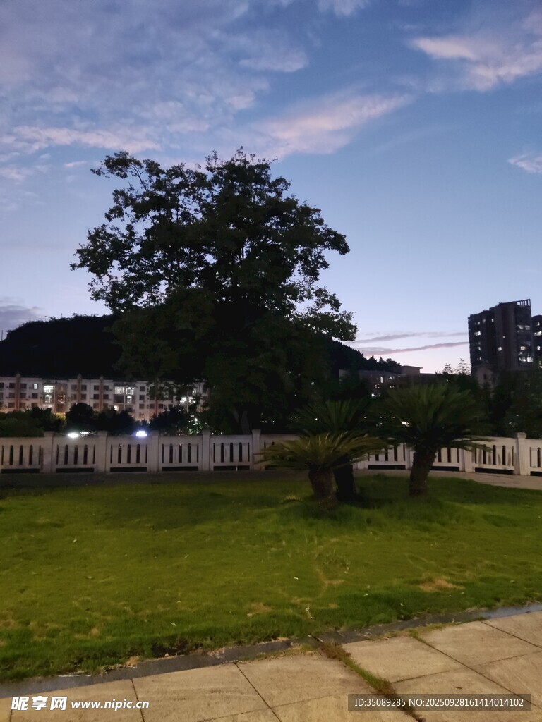 户外绿地旁的宁静景致