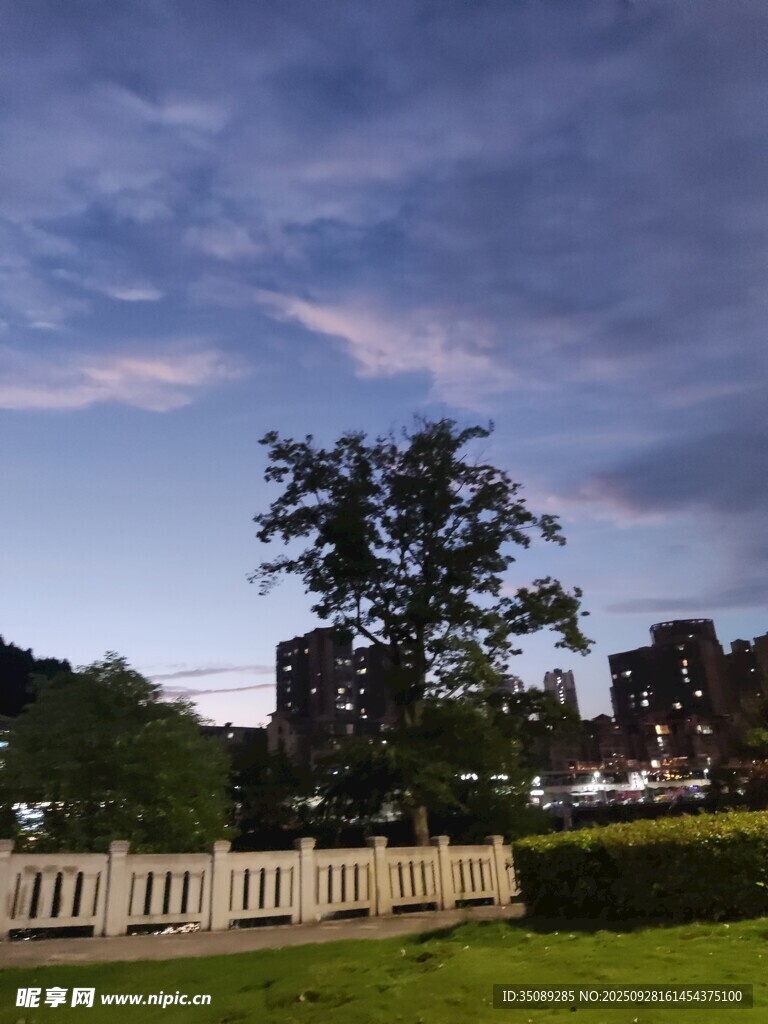 黄昏下的庭院与葱郁树木