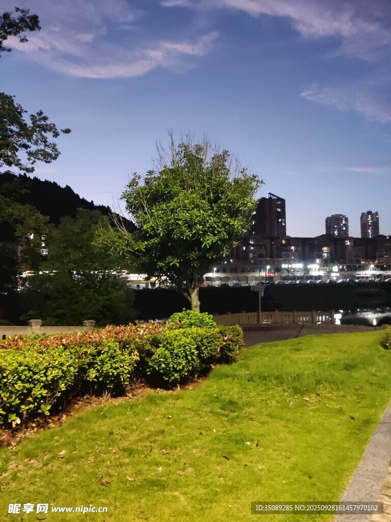 城市绿地旁的美丽景致