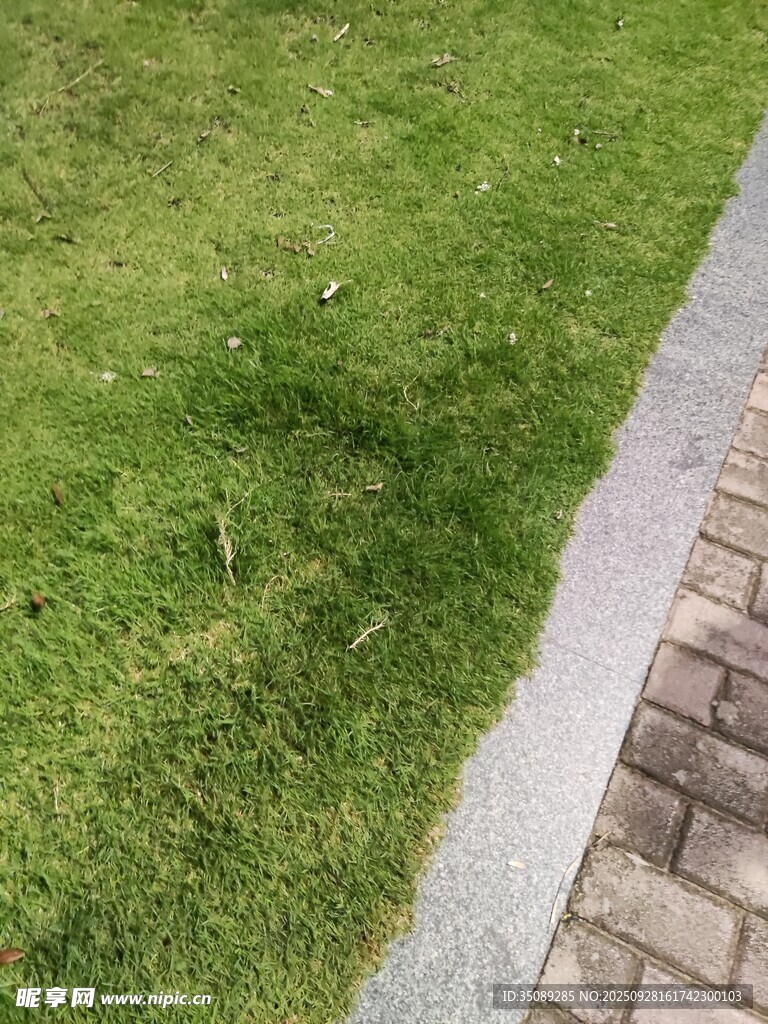 砖砌边缘的翠绿草坪