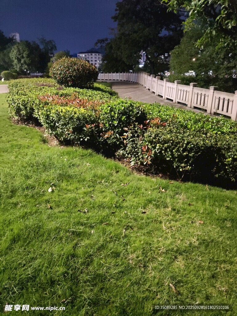夜晚的美丽草坪与花坛