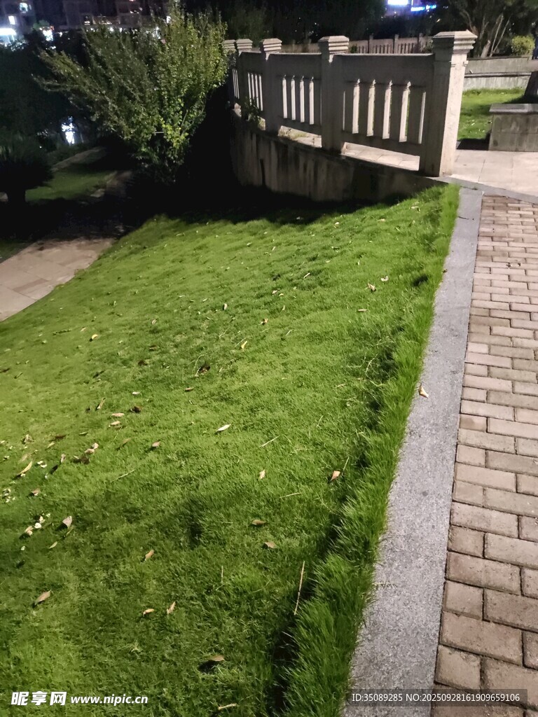 庭院中翠绿的草坪景观