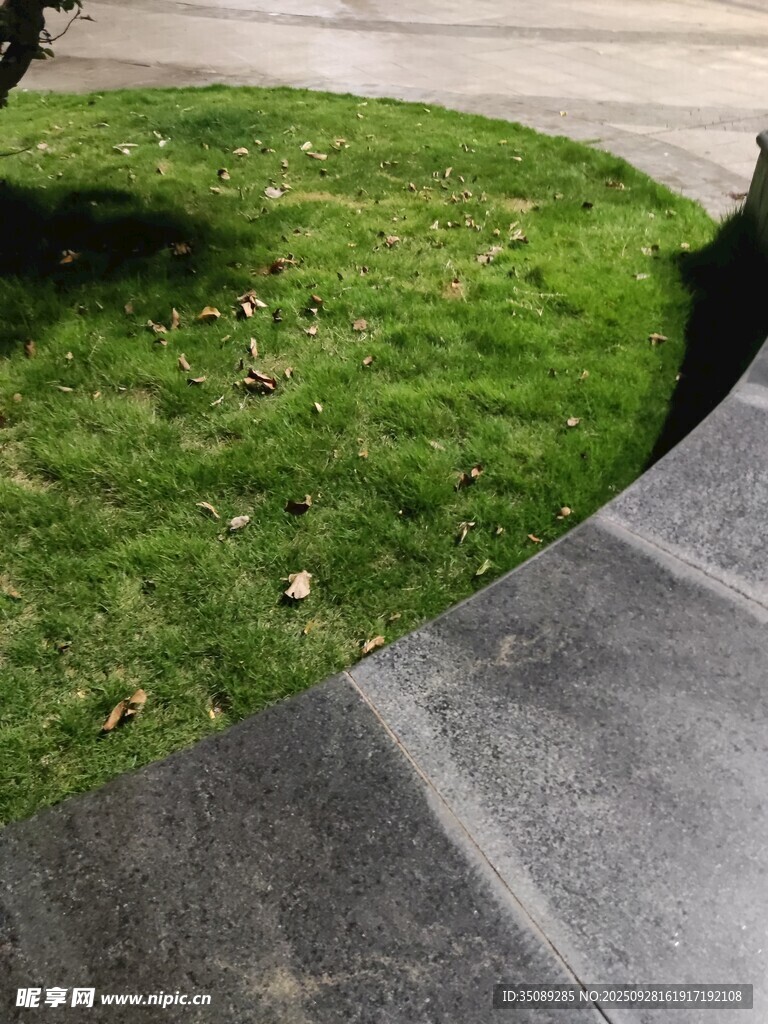 草坪与石板路的角落景观
