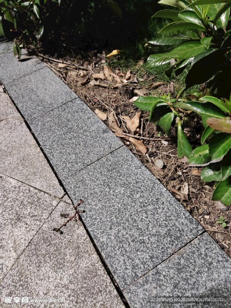 灰色石材路缘石景观