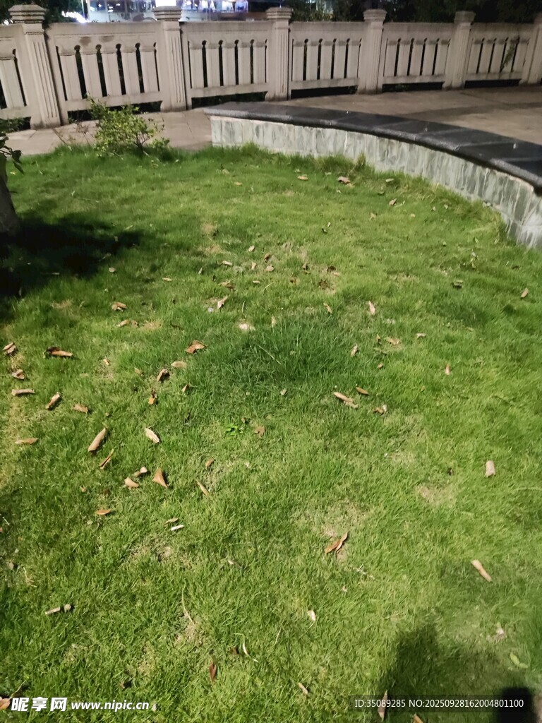 户外草地与石砌边界景观
