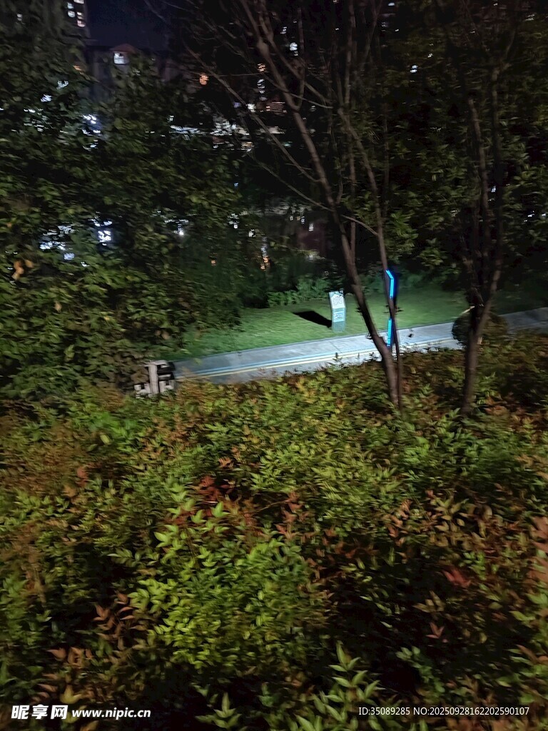 夜晚林间小径的朦胧景致