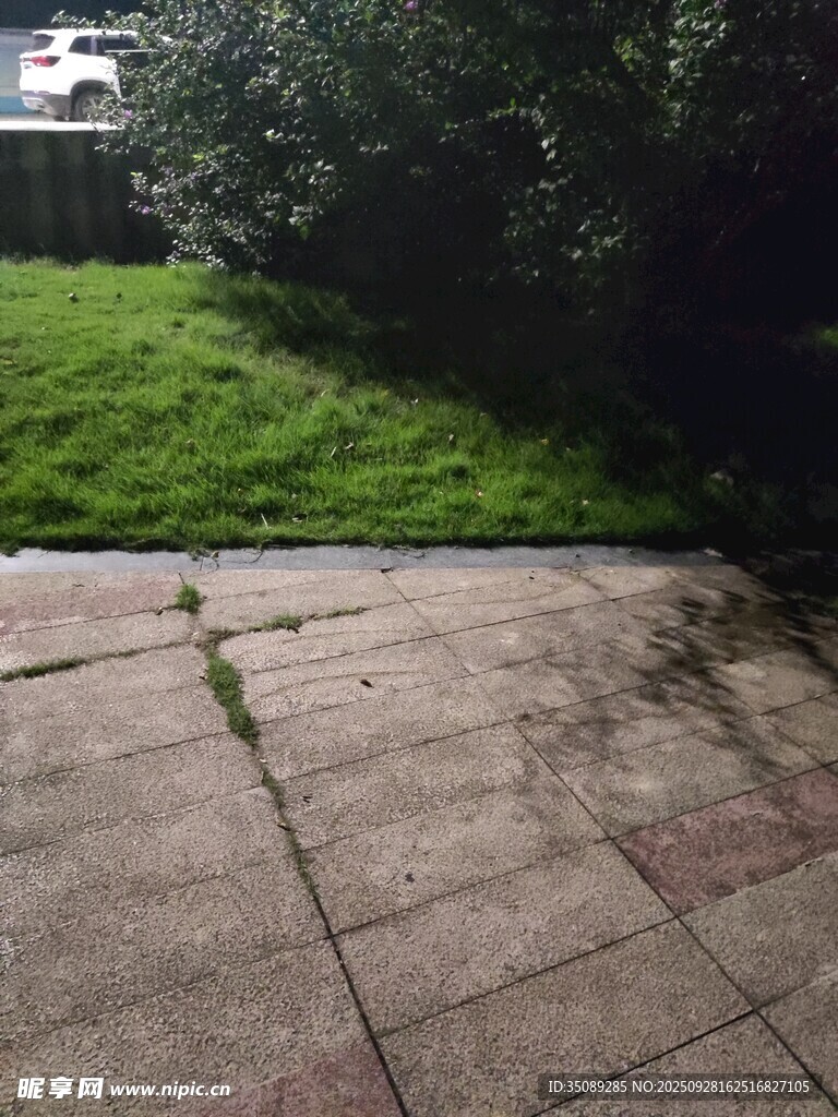 户外石板路与绿植景观