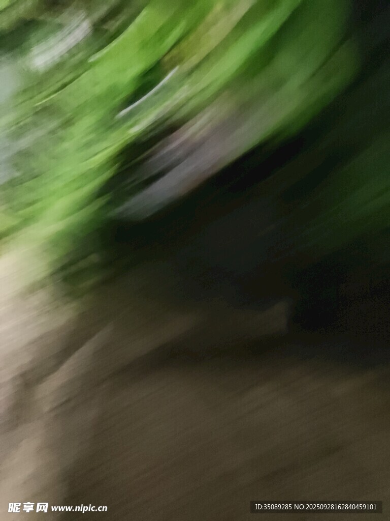 模糊绿意中的自然景象
