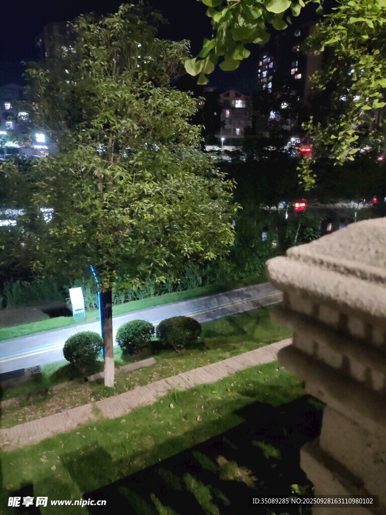 夜晚庭院绿植景观