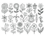 手绘花卉图案 
