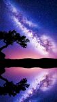星空下的静谧湖景与树影